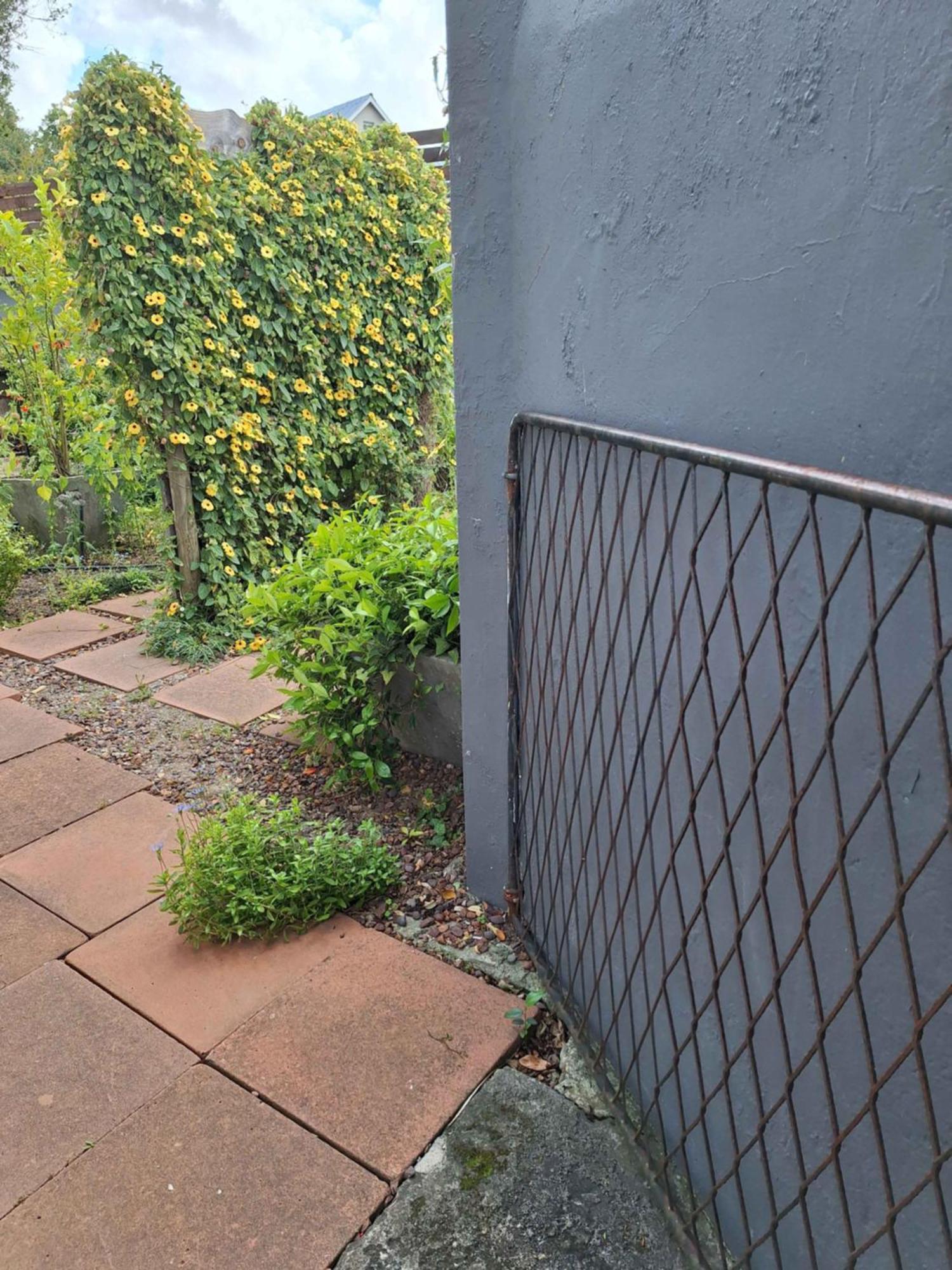 Ferienwohnung House Forget Me Not Bredasdorp Exterior foto